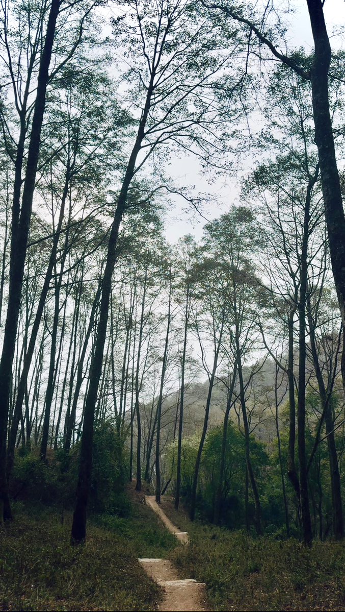 Santosh Basyal tweet media