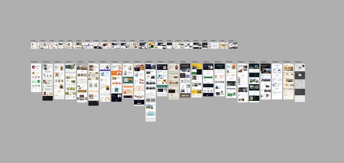 Alex roy tweet media