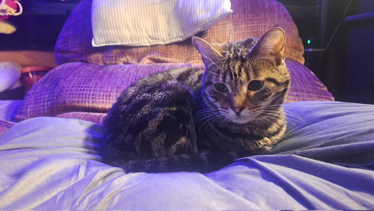 Drake The Drake tweet media