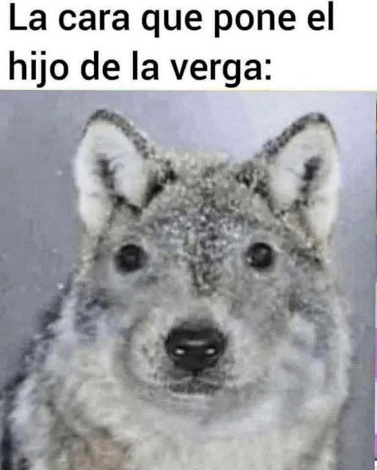 Kokainus🇲🇽 tweet media