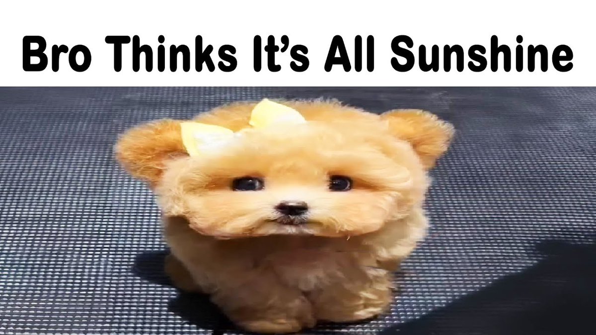 Jam 🏒🫍 tweet media