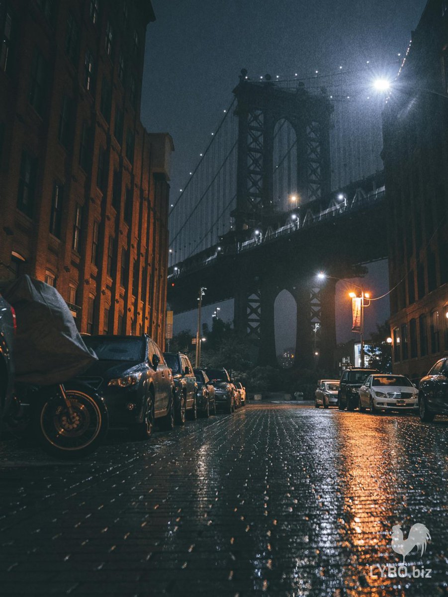 LYBObiz's tweet image. Rain on the cobblestones.
Quiet streets. Signals still moving.

Social media gets attention.
Your website keeps it.

Build where the lights stay on. 🌙
#Websites #DigitalOwnership @LYBObiz