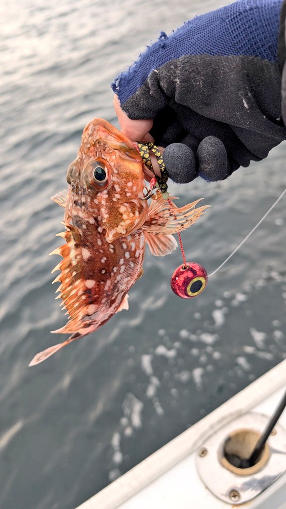 サトシ tweet media