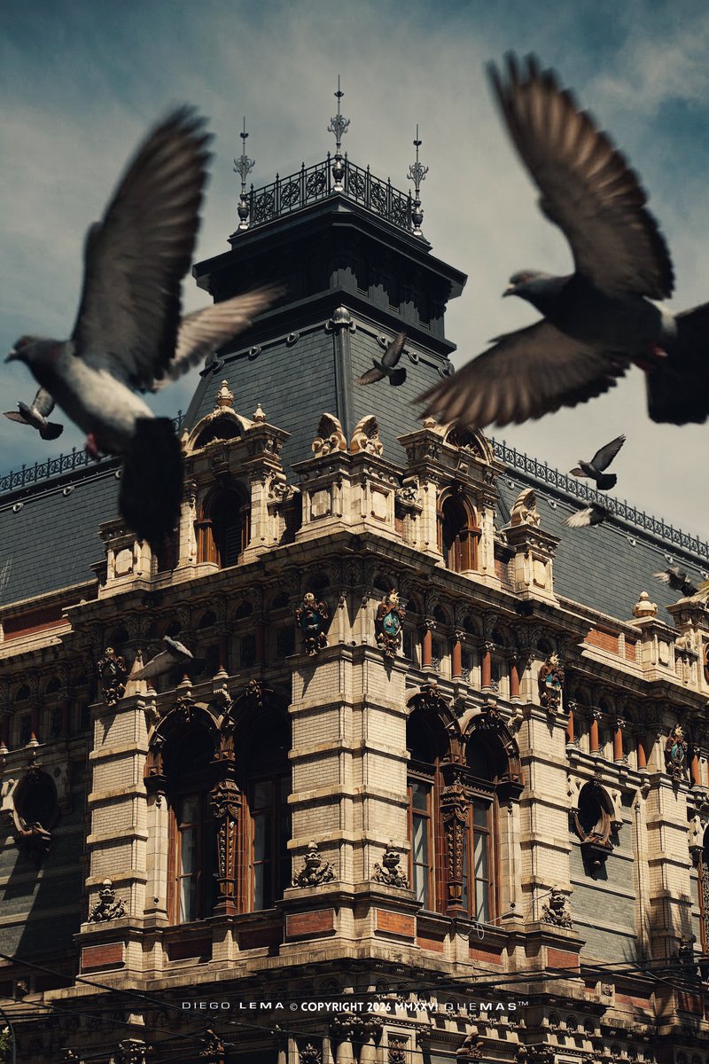 Diego Martín Lema tweet media