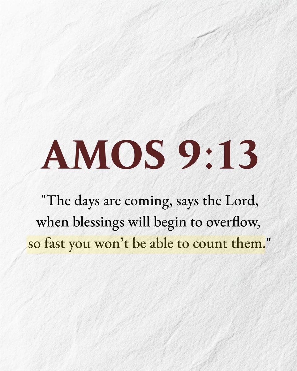 Holy Bible tweet media