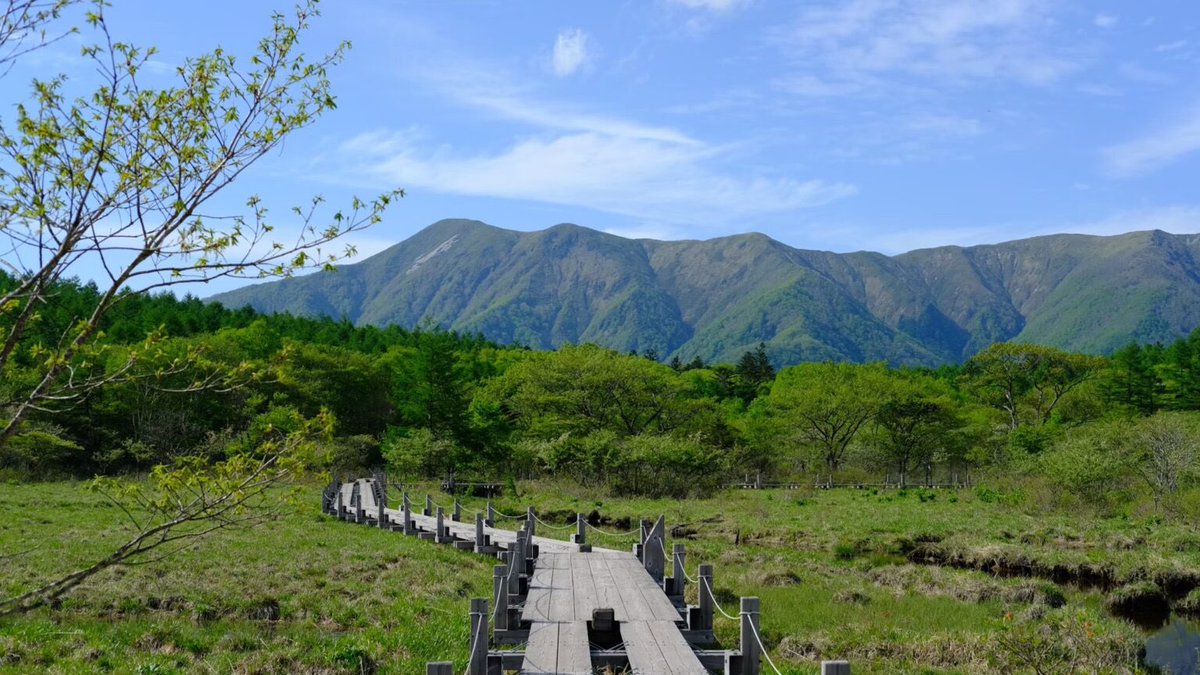 47base_jp's tweet photo. 🥾栃木でハイキング！県内の清流・滝・丘陵・湿原などおすすめスポット🌲

栃木の自然といえば、日光や那須の本格的な登山が有名ですが、それだけではありません！

初心者からでも気軽に自然を満喫できる、栃木県内の心地よいハイキングスポットを編集部が厳選してご紹介！

https://t.co/FYmTGfUUet https://t.co/dc4o4ojT4H