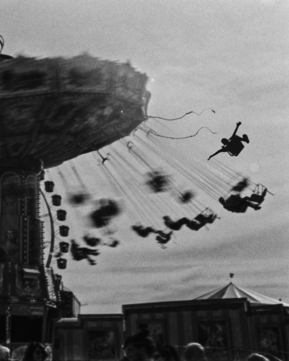 AlphaFox tweet media