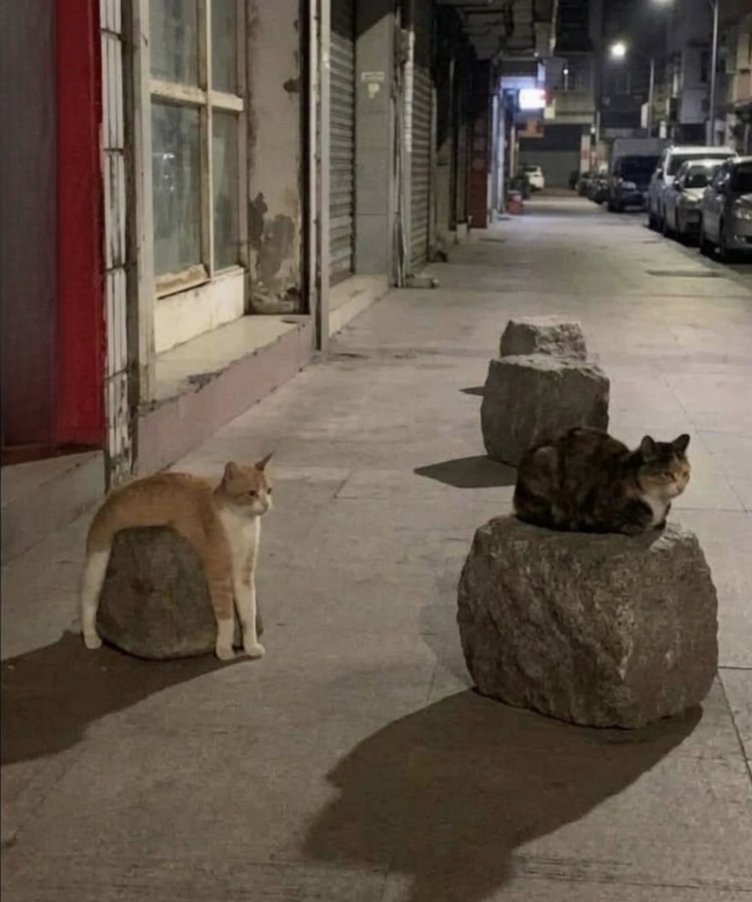 Binance Intern tweet media