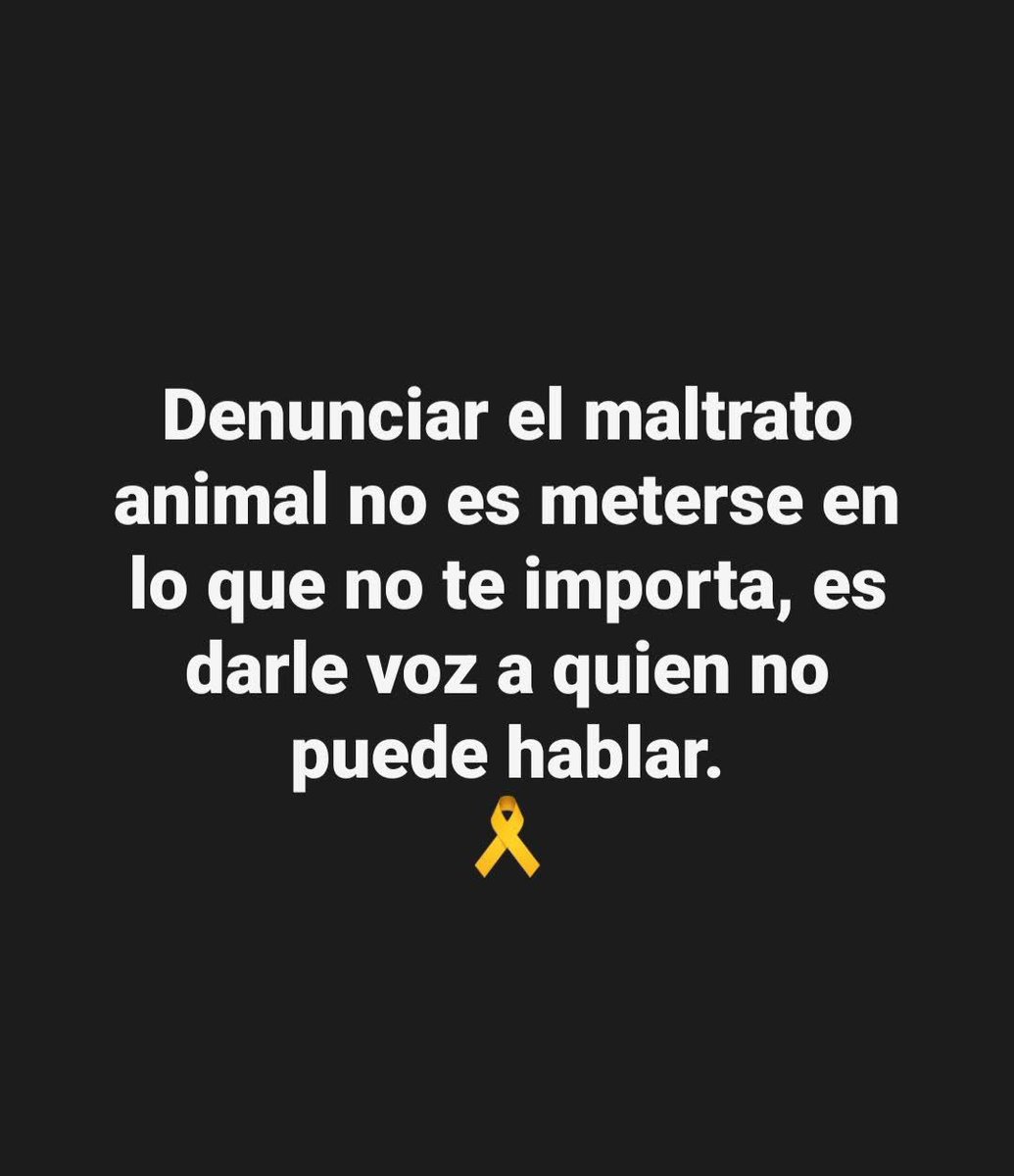 Denuncia.. Su Voz es la de Todos🐶🐈