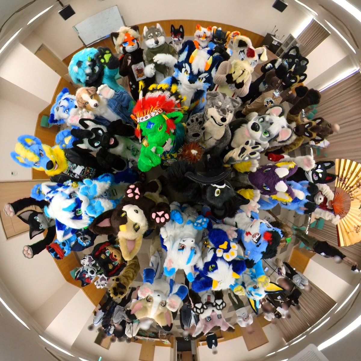 もふもふだら？ In 沼津 tweet media