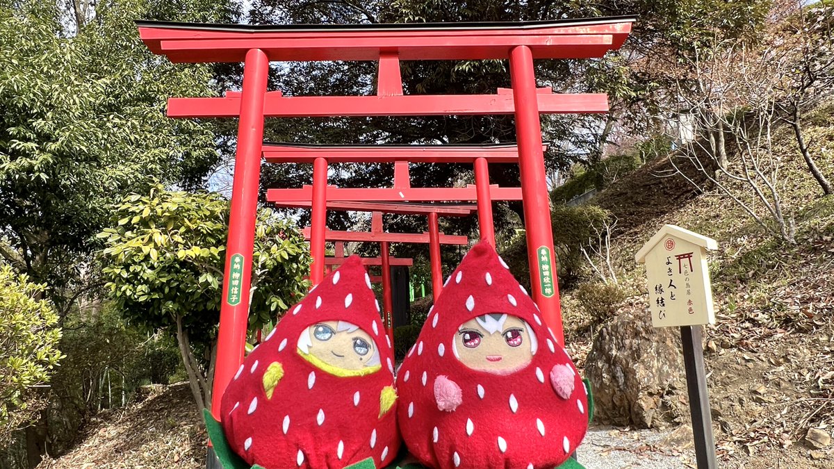 ヘモペモ👉繁忙期低浮上でも元気です。 tweet media