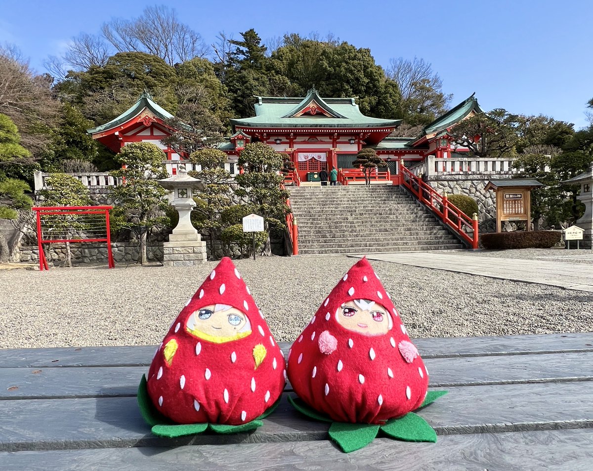 ヘモペモ👉繁忙期低浮上でも元気です。 tweet media