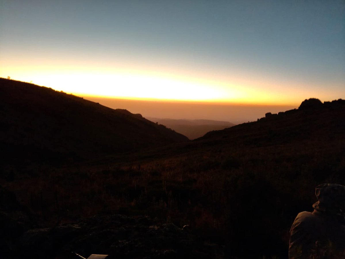 Peter Koima™ tweet media