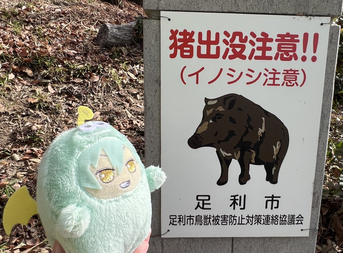ヘモペモ👉繁忙期低浮上でも元気です。 tweet media
