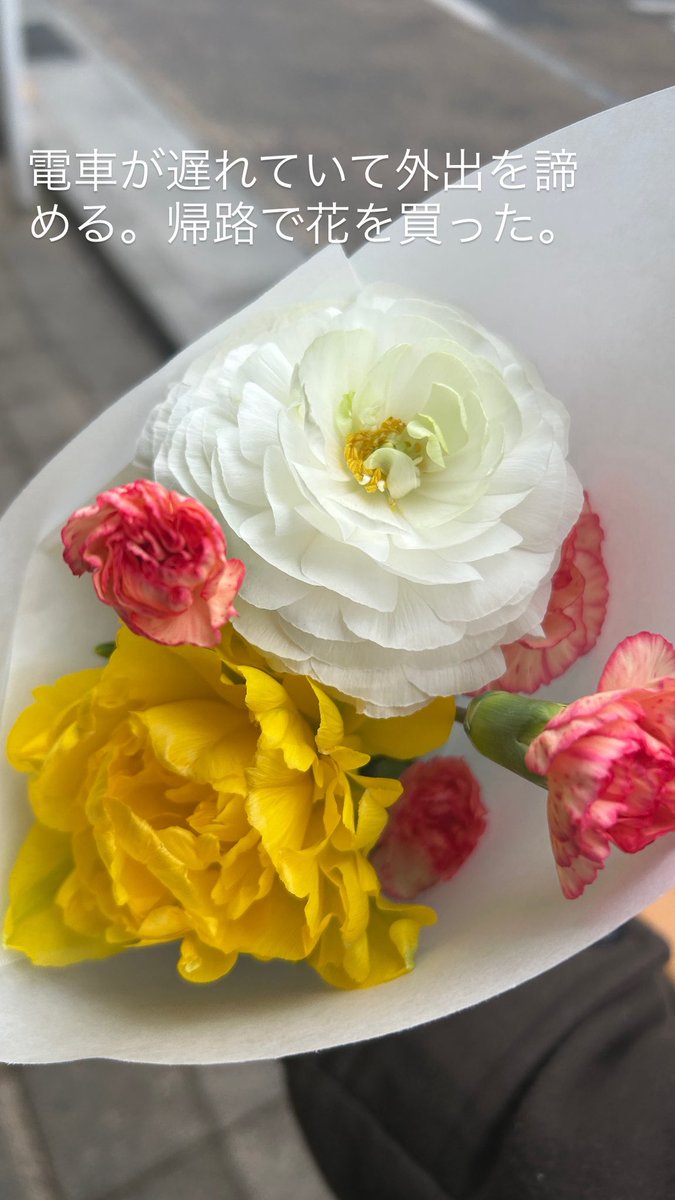 暮らしの為に花を買うような人間ではないので、制作実験に使用します