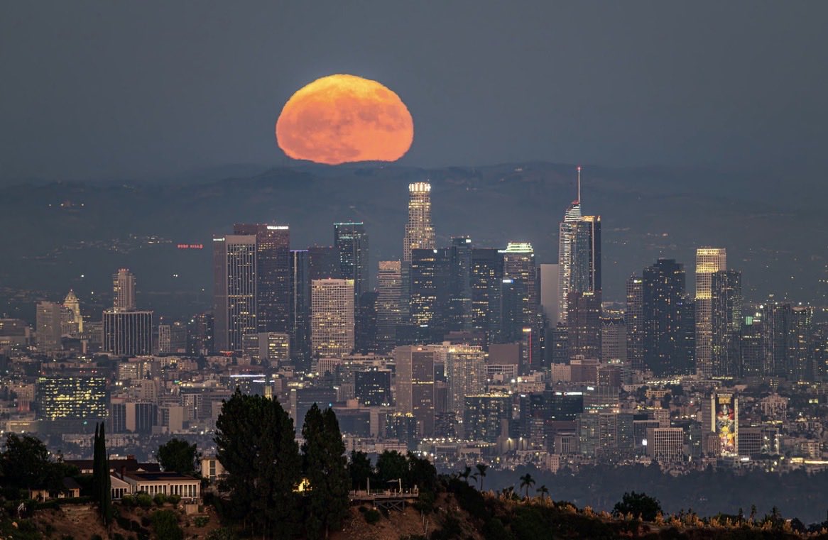 Brandon Yoshizawa tweet media