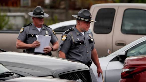 The Highviëwan 🦝🐿️🦌 tweet media