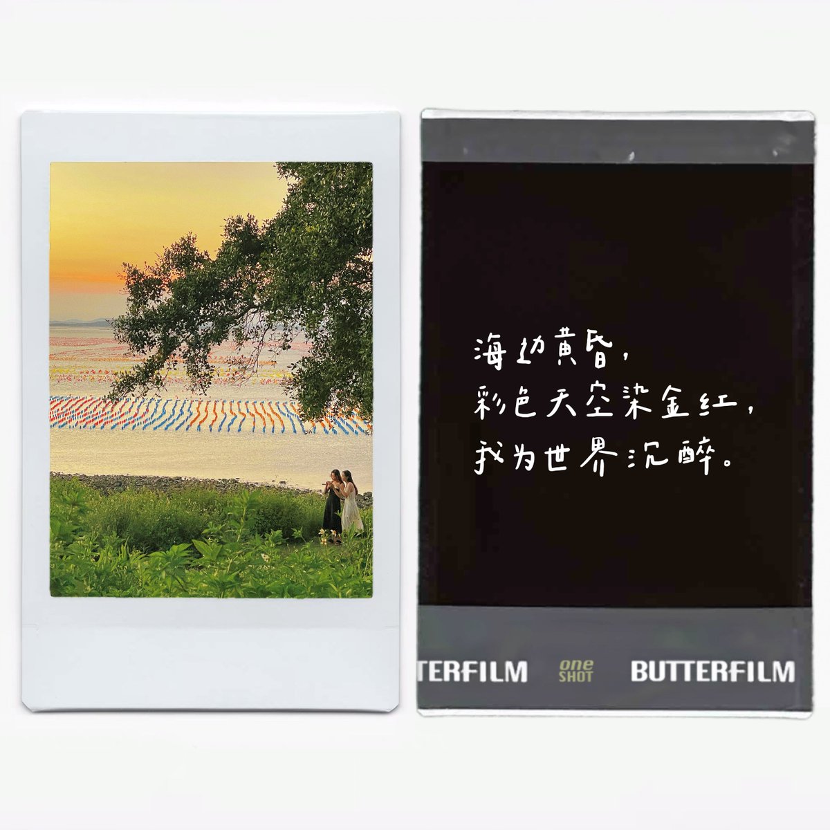 Luka Grcman. tweet media