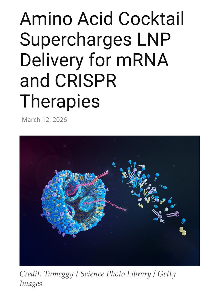 د. عبدالمجيد الرفاعيAbdulmajeed Alrefaei tweet media