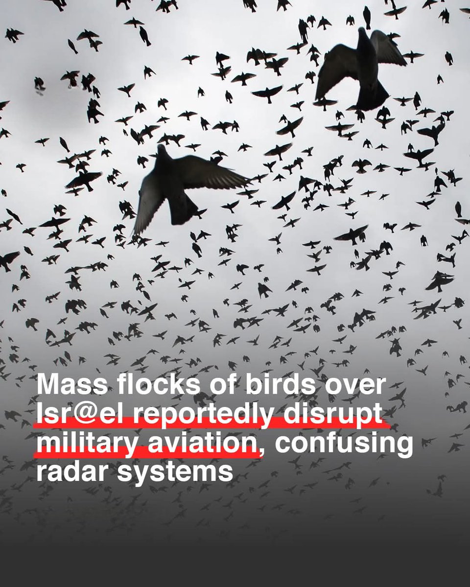 Cool_Ustaz's tweet photo. During recent hostilities, millions of birds have appeared over Isr@el, causing significant disruption to military aviation. According to Iranian media and wildlife experts, the birds of three different species, register as enemy aircraft on radar systems, even though they are clearly flocks when observed directly.

Commentators describe this phenomenon as an unprecedented mass migration and liken it to a form of Divine intervention, drawing similarity to the event in Surah Al-Fil, where divine forces protected believers by defeating their enemies.