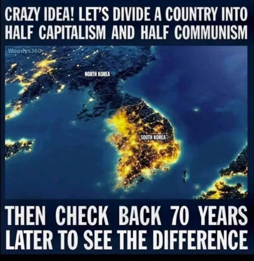 The Rabbit Hole tweet media