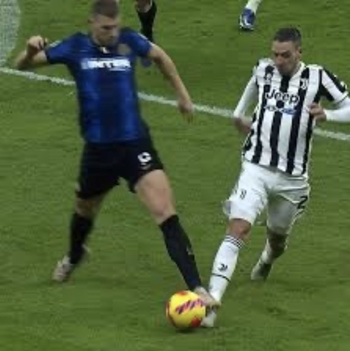 GOBBO 77 tweet media