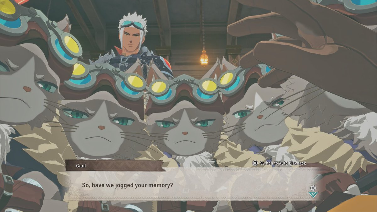 Matthias Riley tweet media