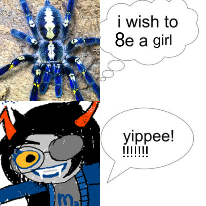Chilean Vriska Serket 🇨🇱 tweet media