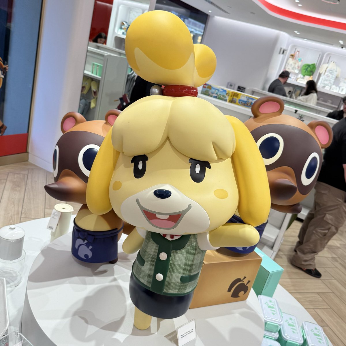 Kossio ⚡️ tweet media