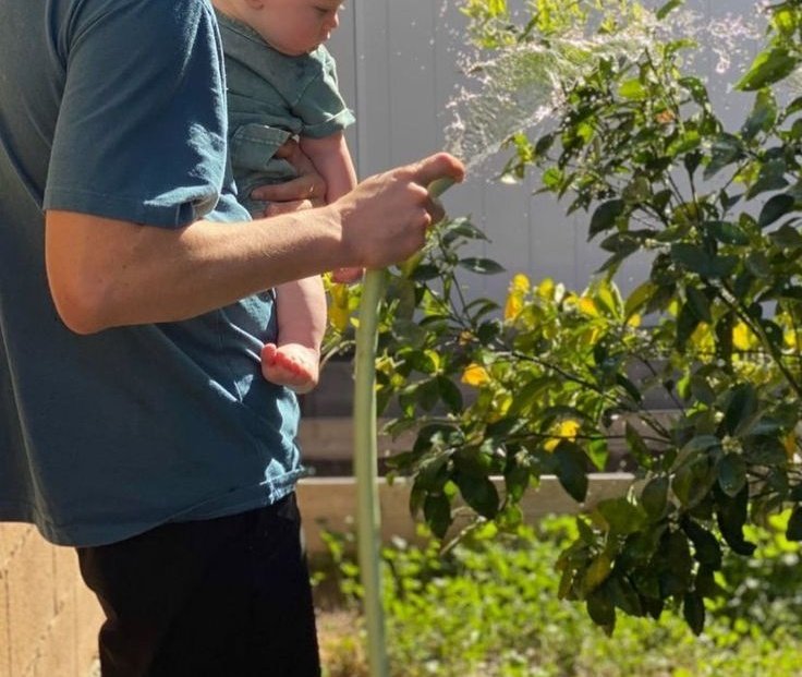 ㅤ
Kebetulan WFH jadi bisa ngajak Simba nyiram taneman sambil denger tetangga gosip berita hotnyus.
(Nyiram taneman cuman buat gimmick)
ㅤ