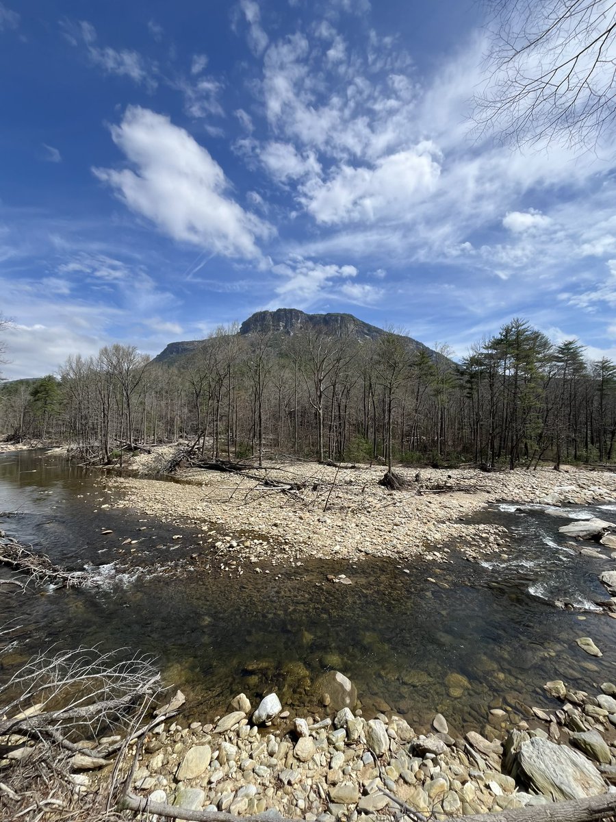 Bill Hartley tweet media