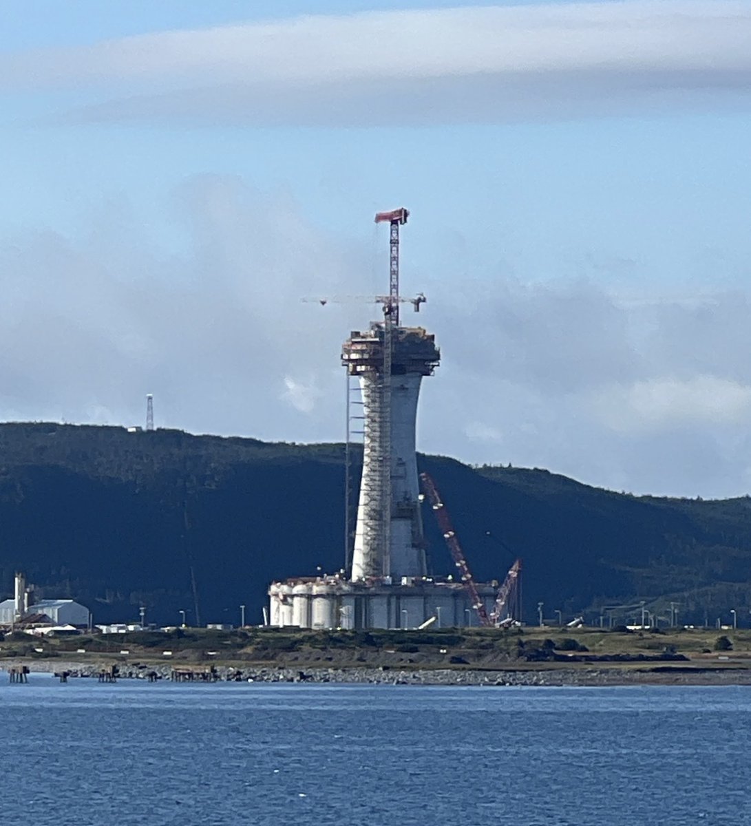 Senator David Wells tweet media