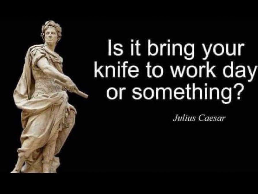 Tim Prebble - HISSandaROAR tweet media