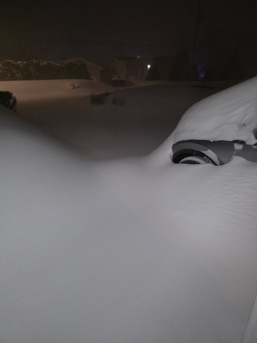 Devin Arthur tweet media