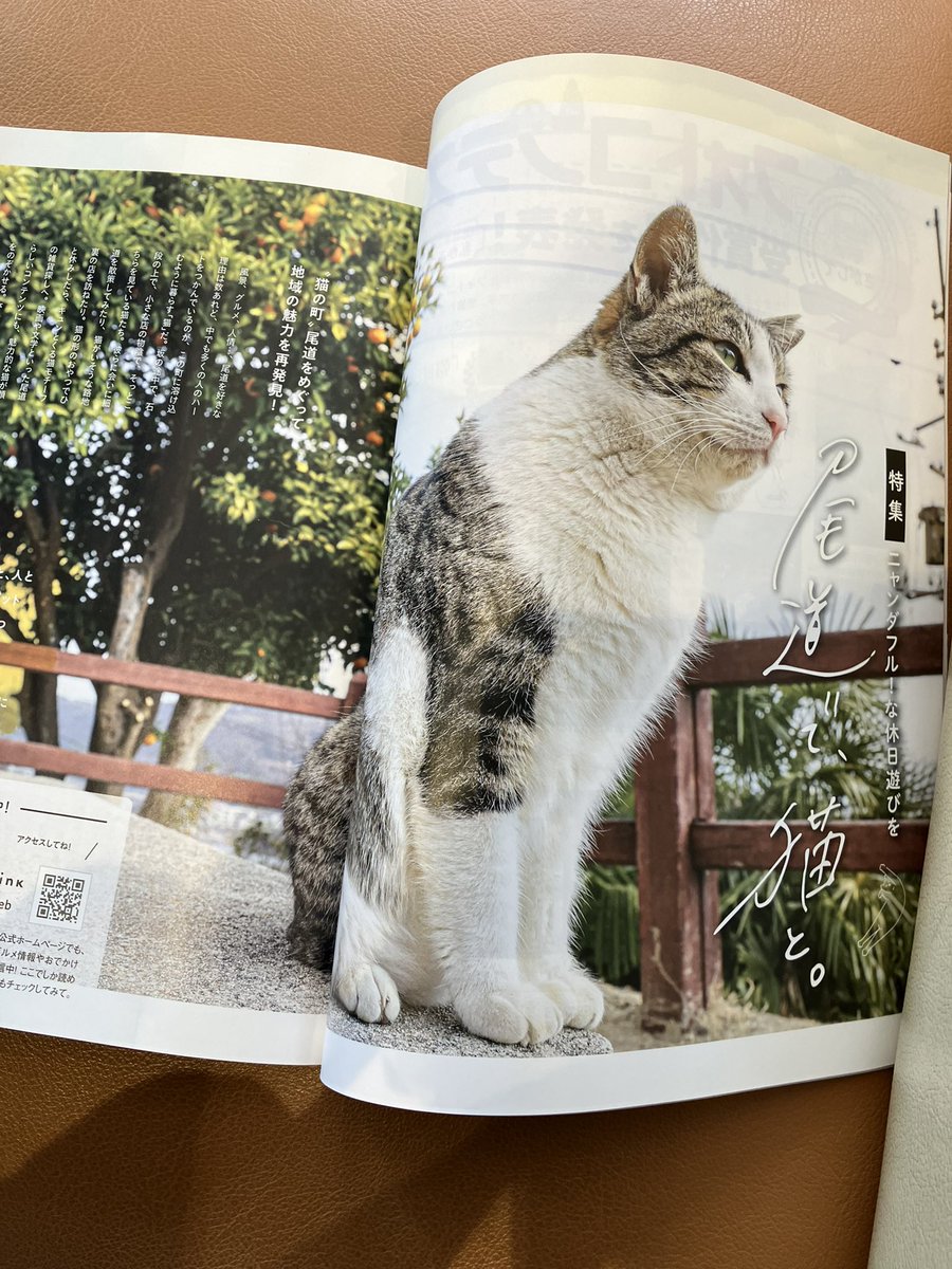 ひろぽんⅡ tweet media