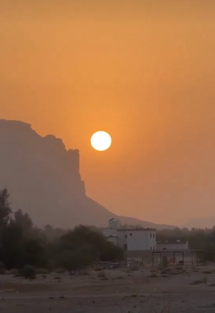 د. زياد الجهني tweet media