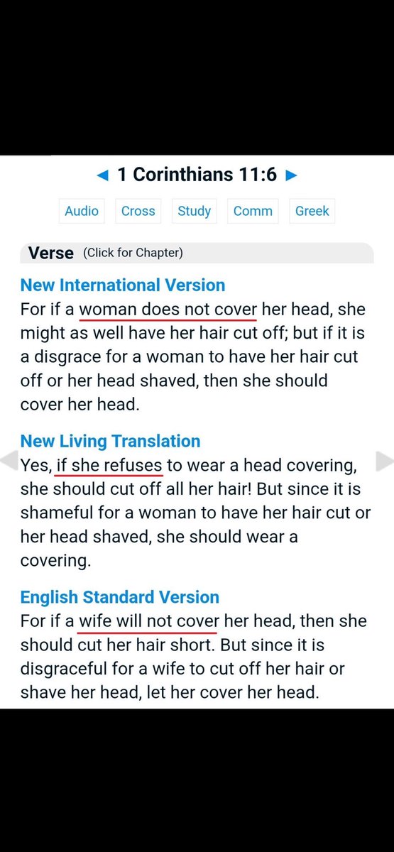 From Different Time tweet media