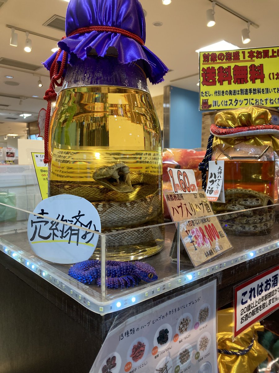 よもぎ tweet media