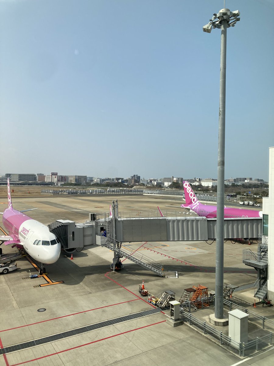 よもぎ tweet media