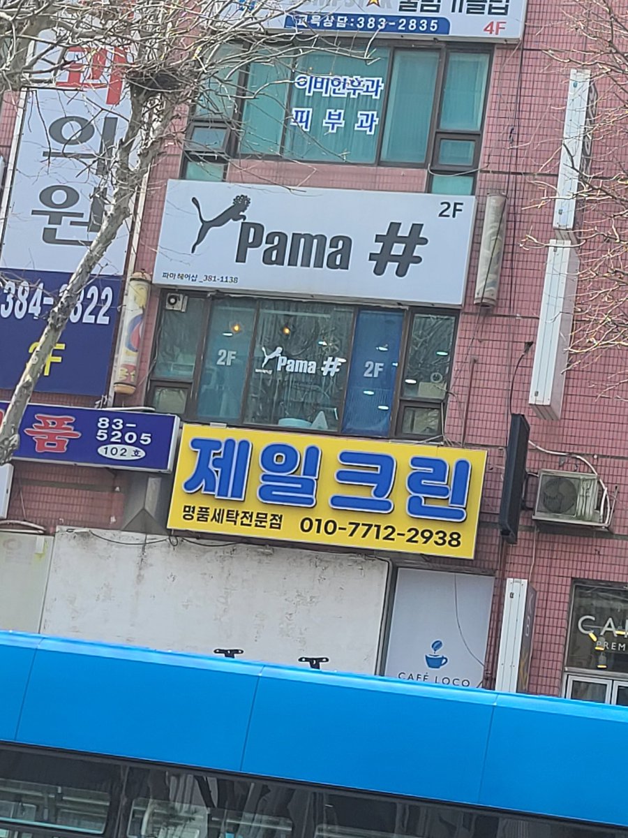 개지랄 tweet media