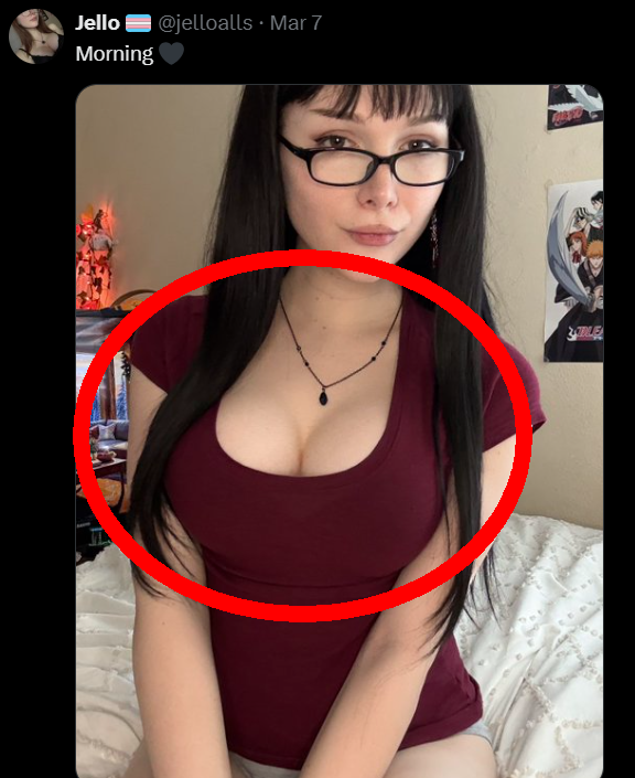 Ich liebe Schafe tweet media