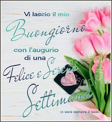 Matteo tweet media