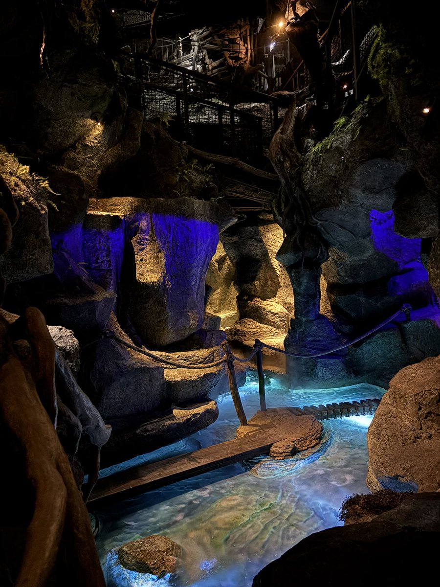 伊賀之忍者衆 羅威堂【公式】 tweet media