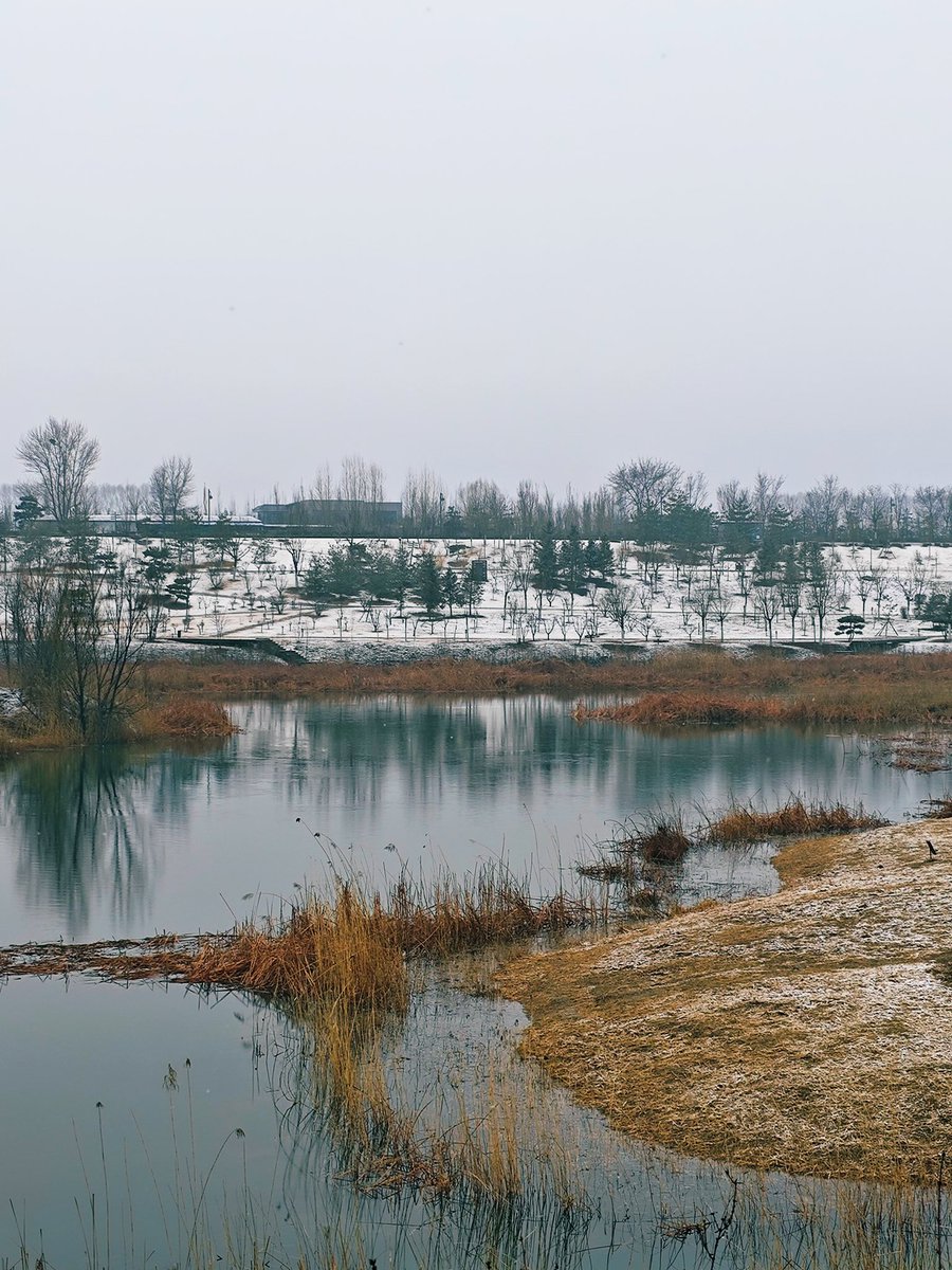 david_andrew123's tweet image. Snowy pavilion, mirror-like water 🌫️. Pure, quiet, poetic  beauty.

#SolitaryBeauty #WinterVibes #ChineseGarden