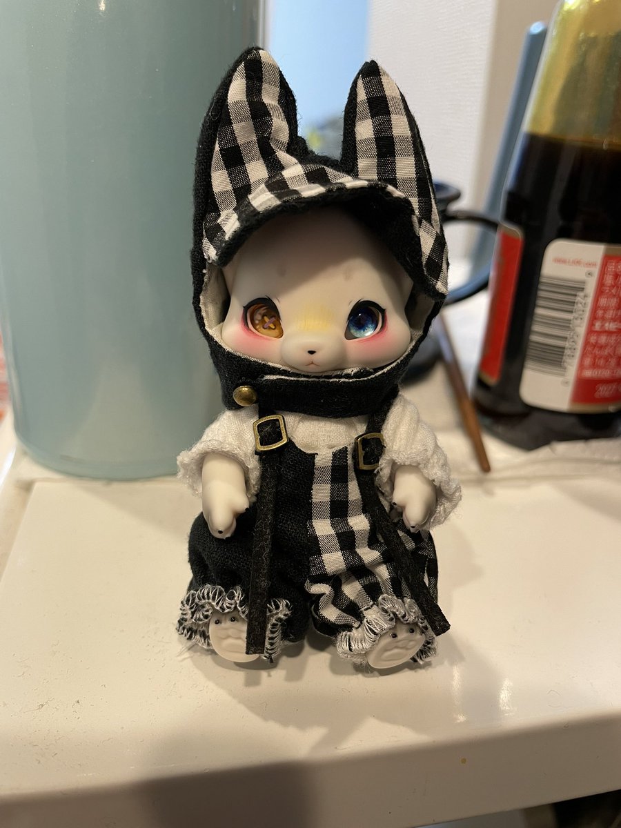 ソラ「久しぶりに主人の監視ー！！」
#cocoriang