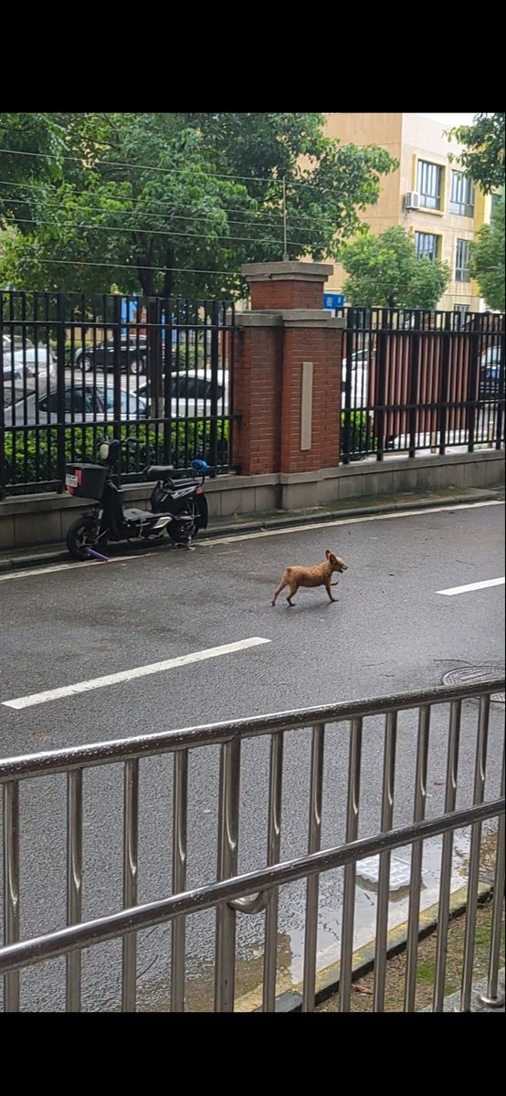 Charles McCoy tweet media