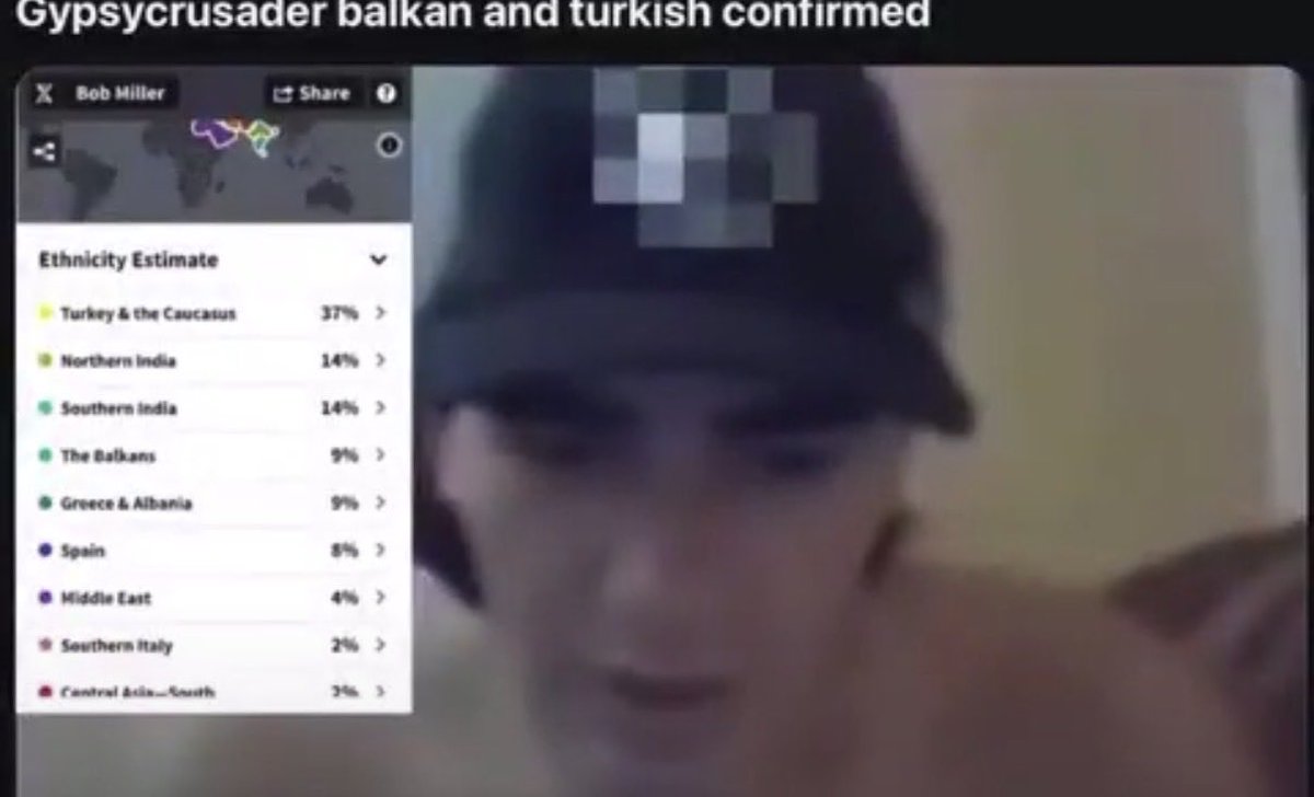 ArabianCat tweet media