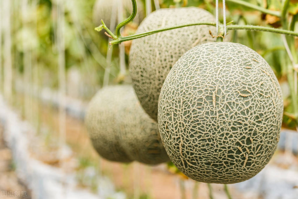 🇬🇧Tom-Be loyal to dividends £120K tweet media