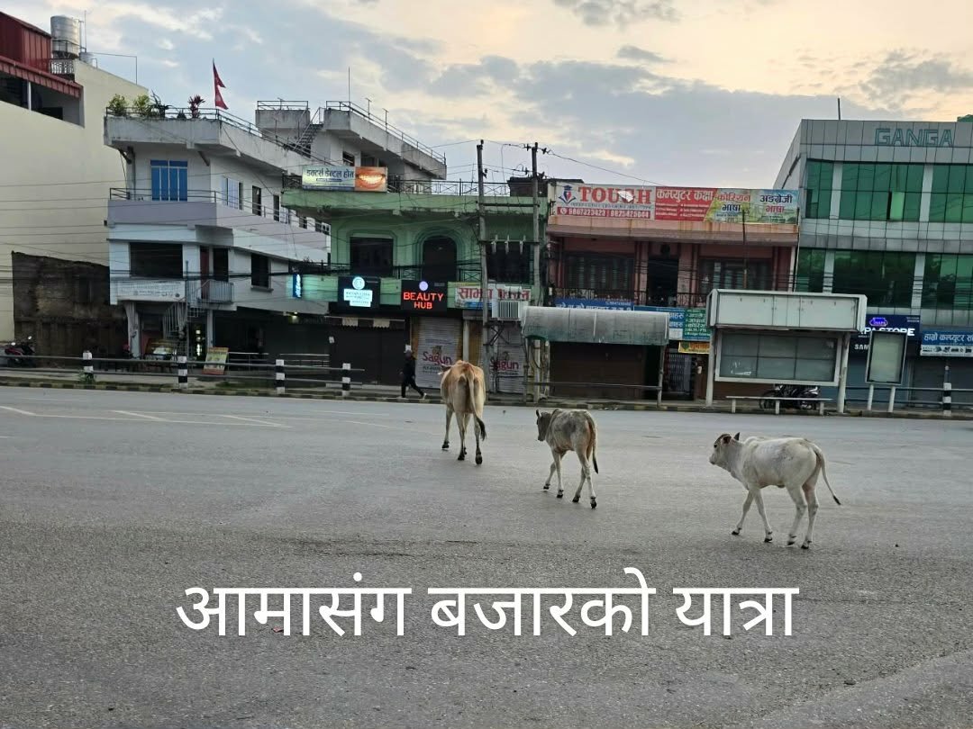 Dr. Man Bk tweet media