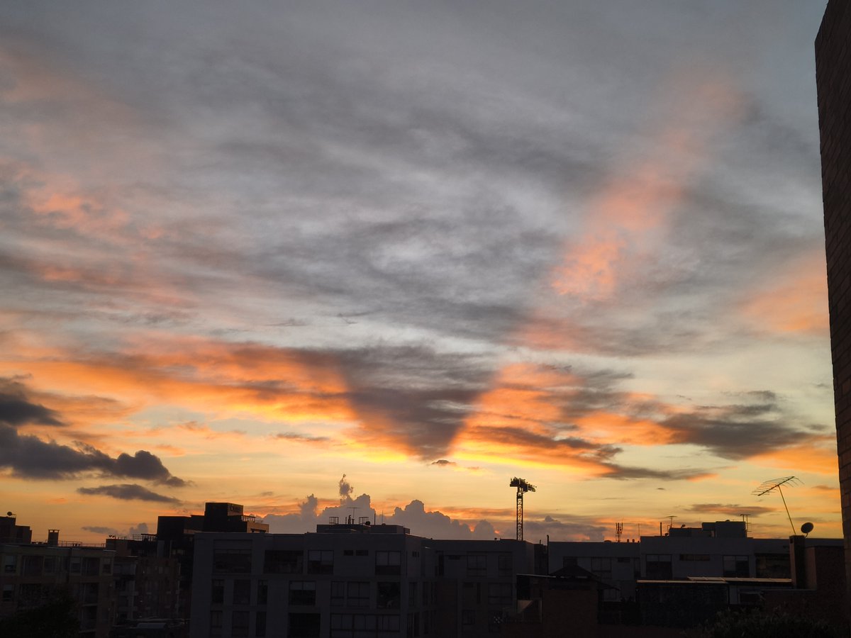 🇨🇴 Sebastián ⚡ 𝚁𝚘𝚓𝚊𝚜 ® tweet media